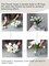 10Pcs Fake White Tulips Artificial Flowers Bouquet, Realistic Faux Tulip Stems That Look Real,Tulipanes Artificiales para Decoracion for Vase,Home Table Decor, Wedding